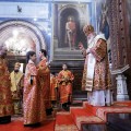 Photo 07